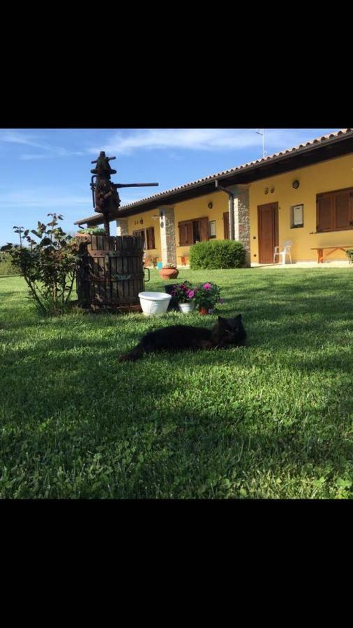 Agriturismo La Noce Bassano Romano Exterior foto